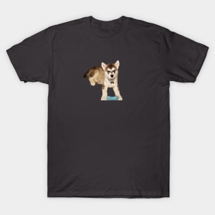 Baby Malamute T-Shirt